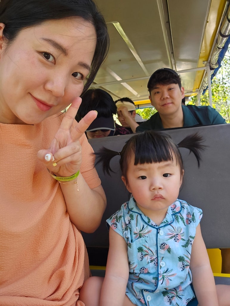 브이투어(주) 이미지
