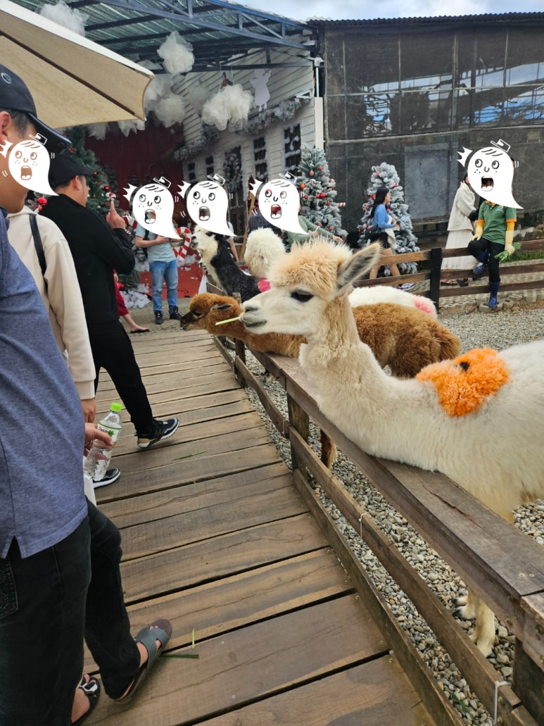 까꼬보꼬미용실 이미지