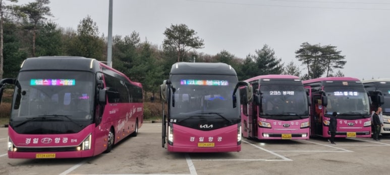 경일항공여행사 이미지