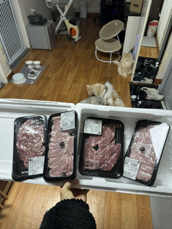 송정정육점 이미지