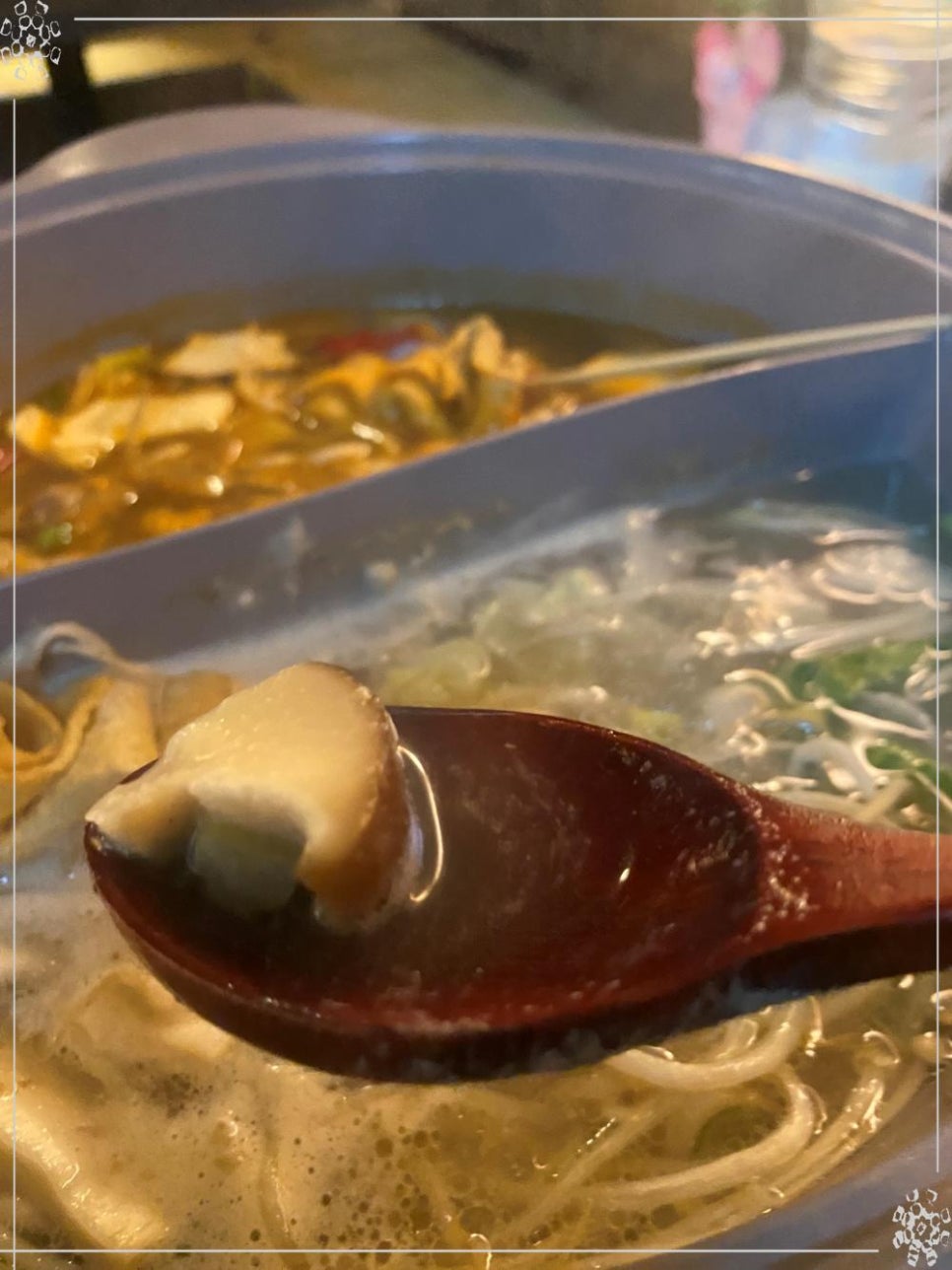 풍바오 이미지