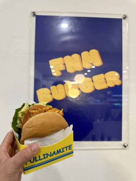 풀리너마이트 이미지