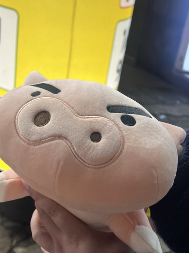 수빈 돈 돼지 이미지