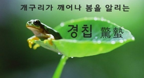 골든파인트리 이미지