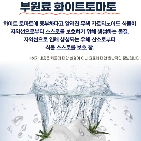 이펠 이미지