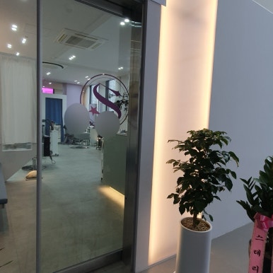 스테리헤어 이미지