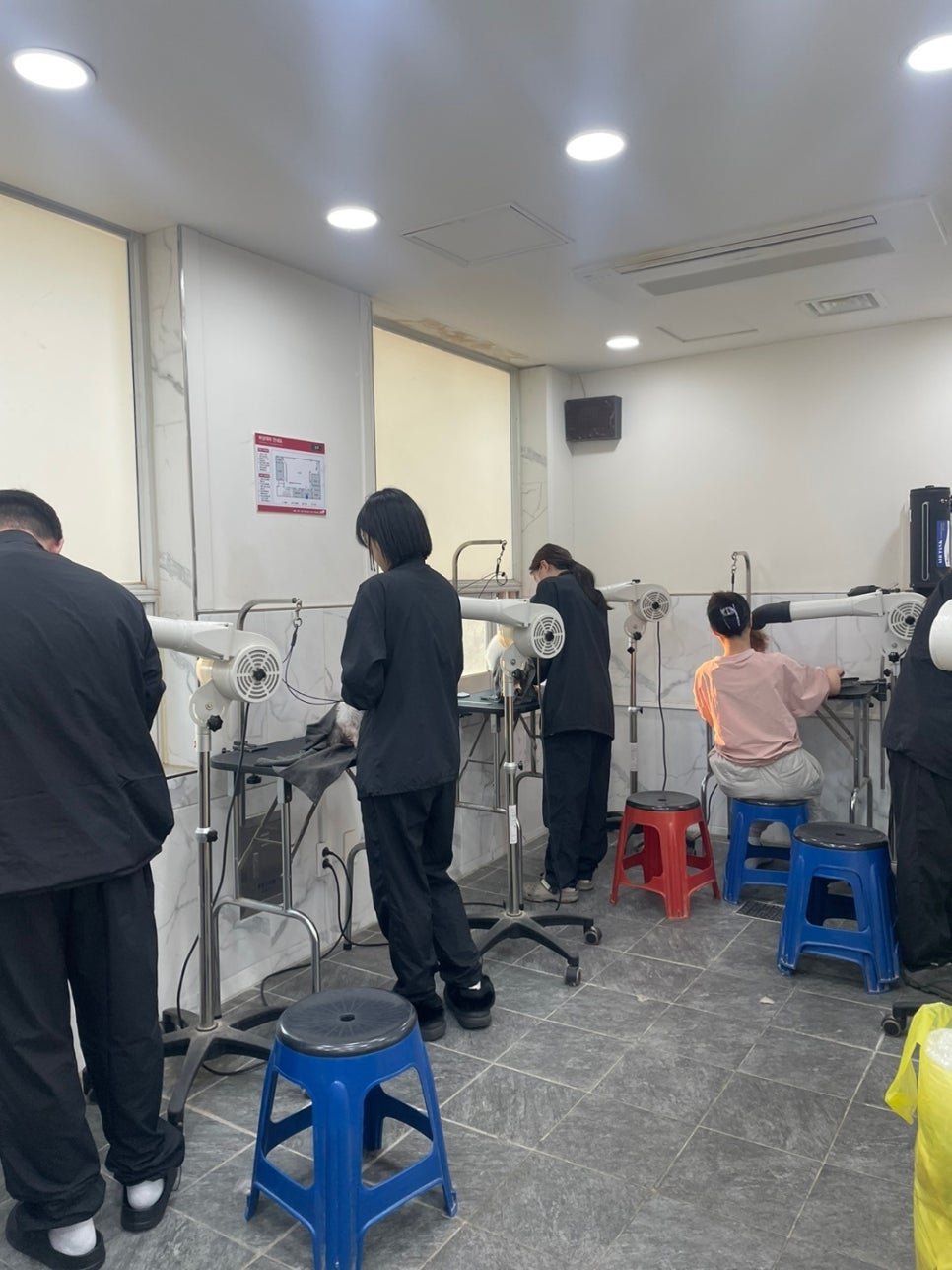 프로펫애견미용학원 이미지