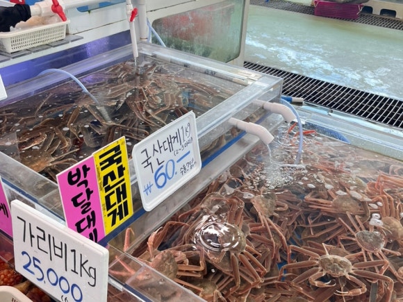 공설로또 이미지