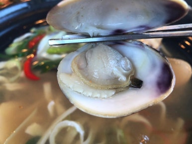 청학동칼국수 이미지