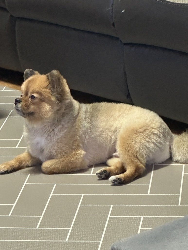 즐거운락스피닝 이미지