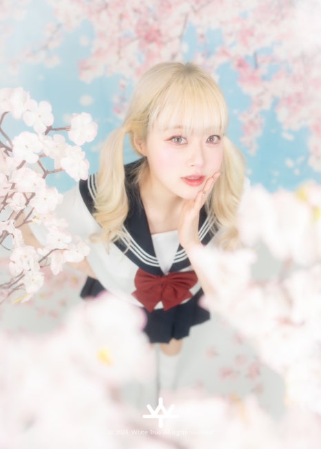 벚꽃사진관 이미지