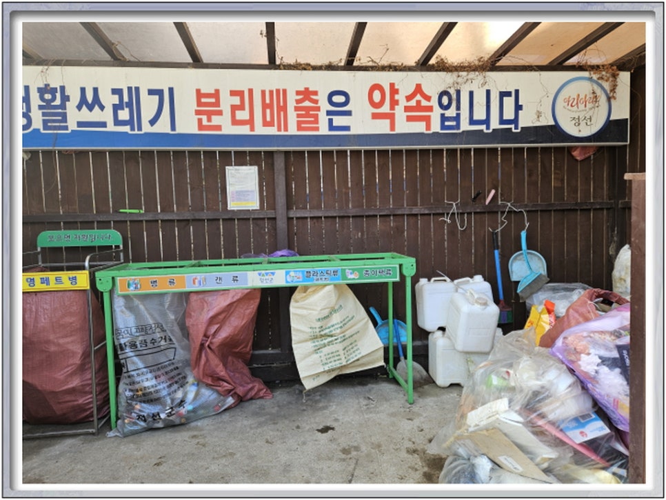 정선시니어클럽 이미지