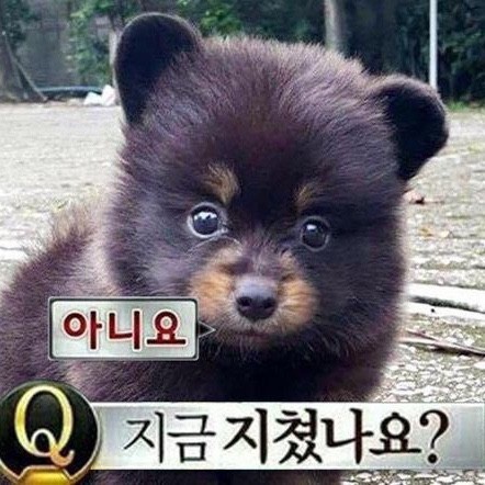 한나무투어 이미지