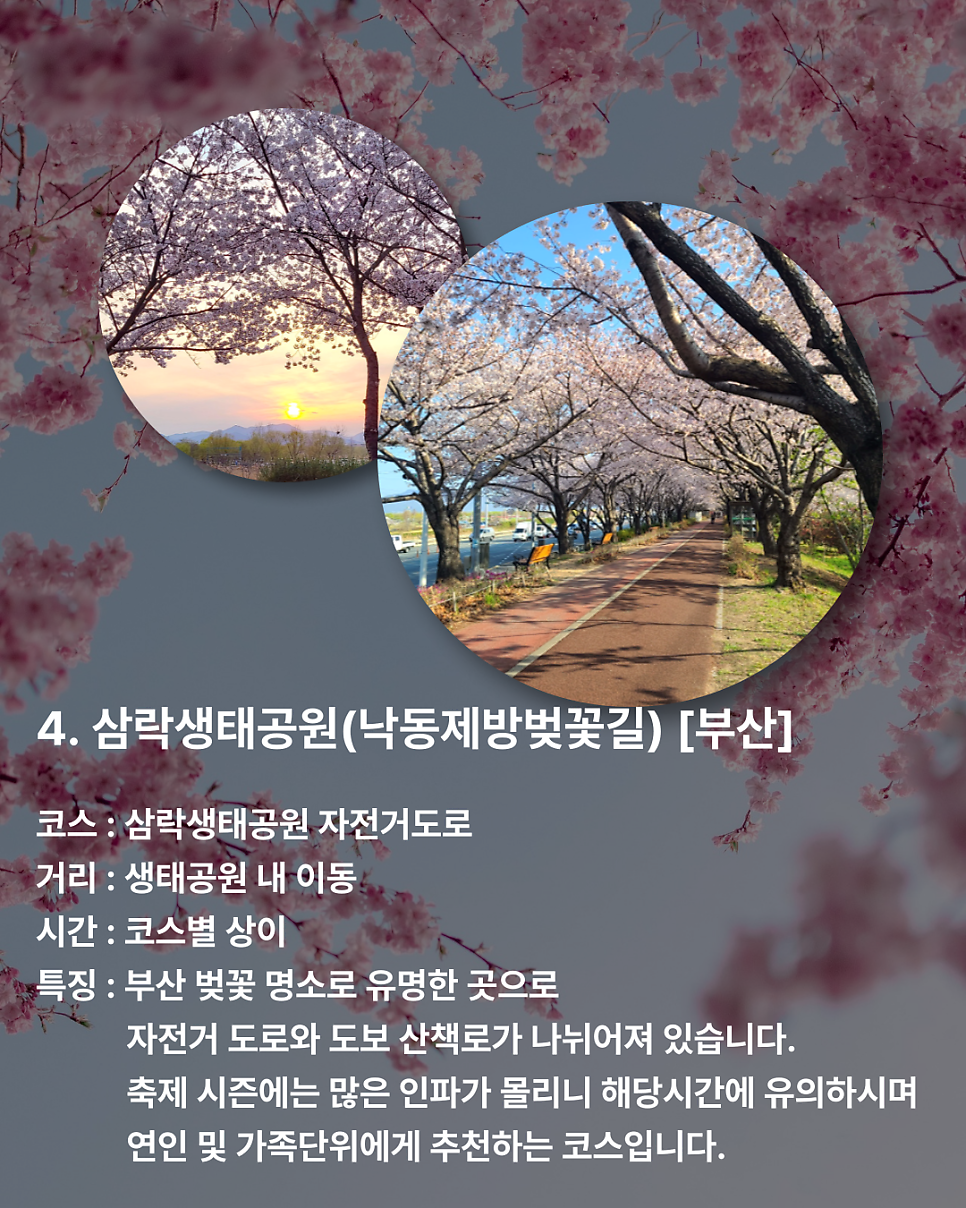 낙동장터 이미지