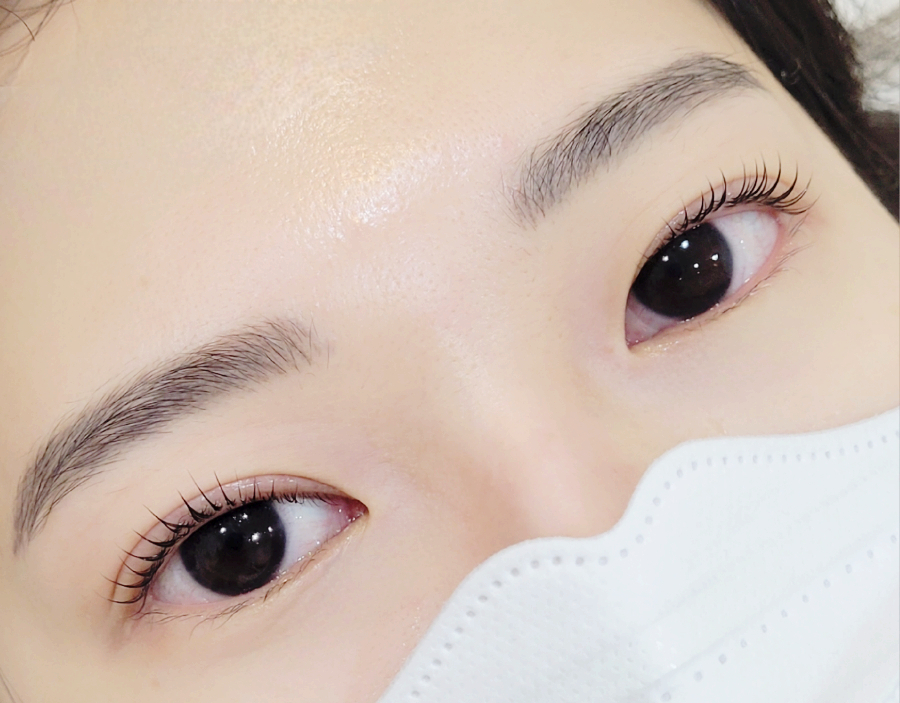 리헤브 이미지