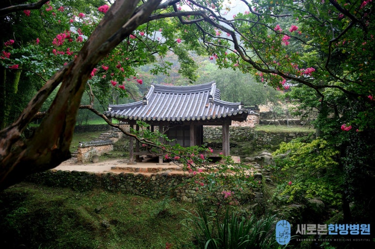 새로본한방병원 이미지