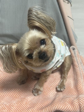 보라정원 이미지