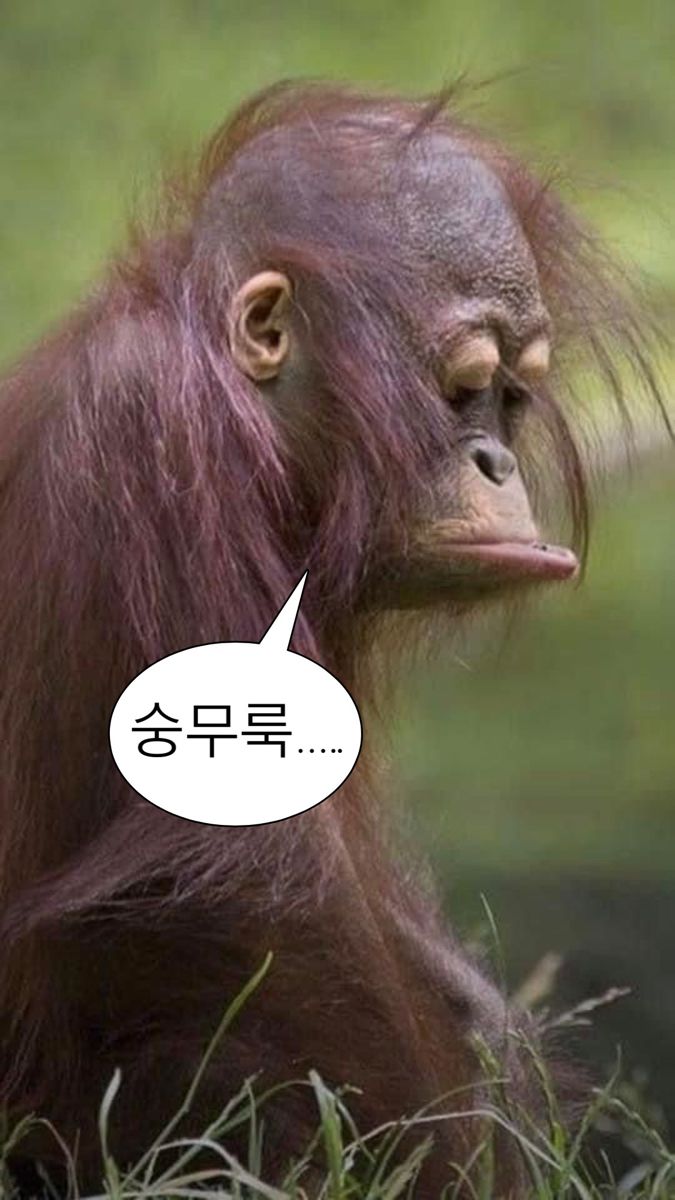 페난 이미지