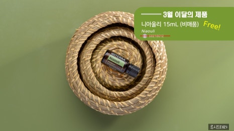 루시드살롱 이미지