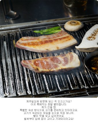 제주믿음도야지 이미지
