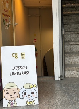 댕둘 이미지