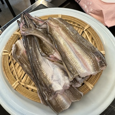 광암돌장어 이미지