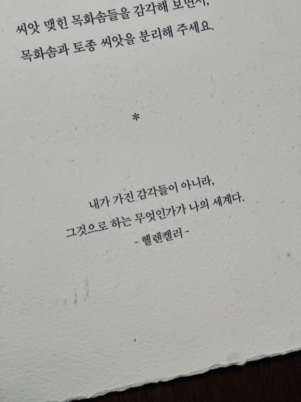 제주언니 이미지