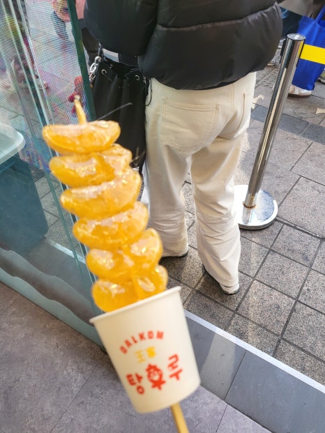 산책헤나 이미지