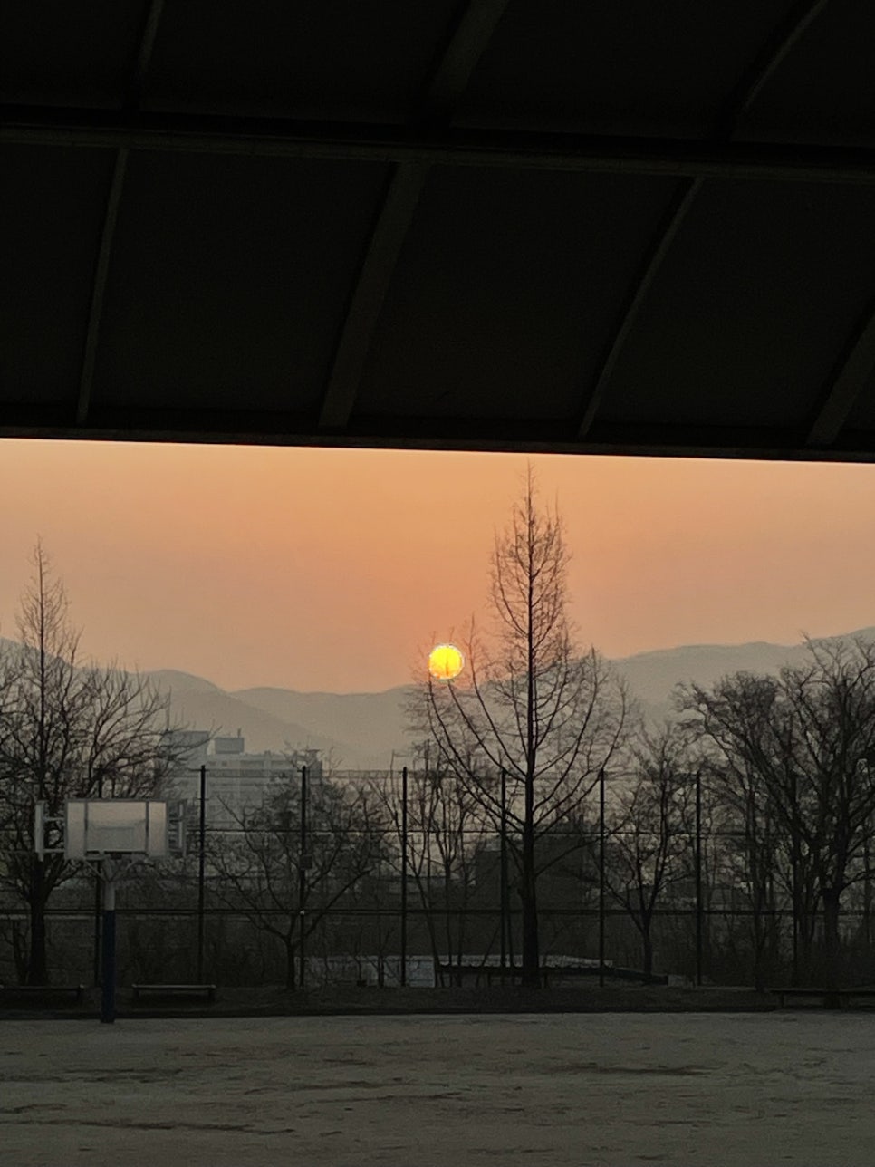 라이언클린 이미지