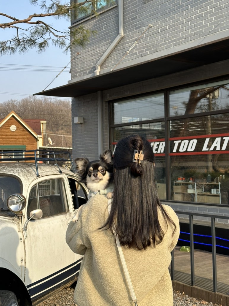 슬로피타운 이미지