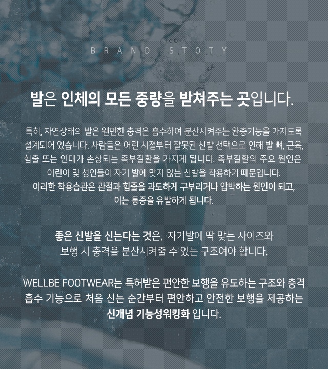 엠에스존 이미지