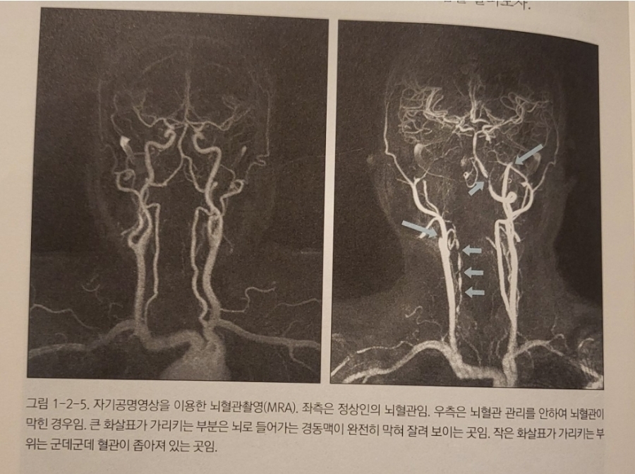 해피점핑하이 이미지