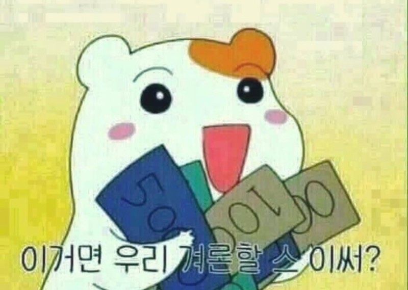 투어테일러 이미지