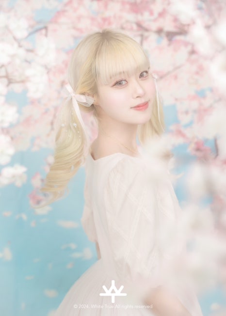 벚꽃사진관 이미지