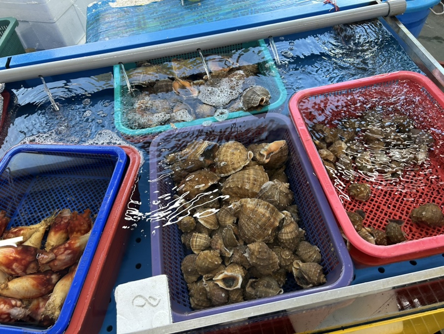성신수산 이미지