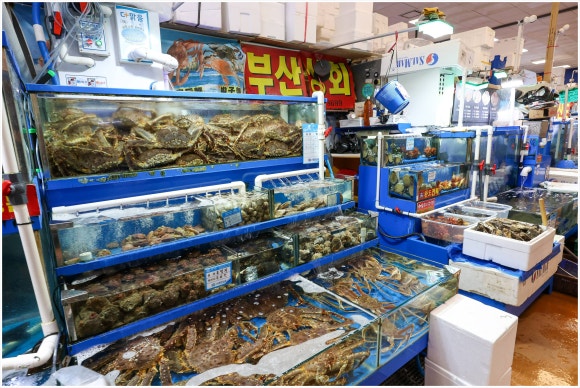 알찬상회 이미지