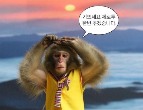 샐러듬뿍 이미지