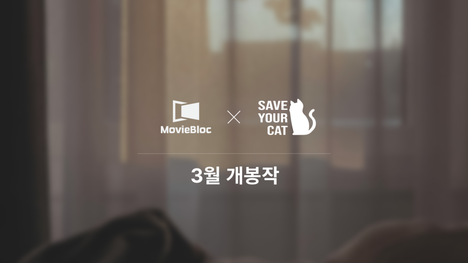세이브유어캣 이미지
