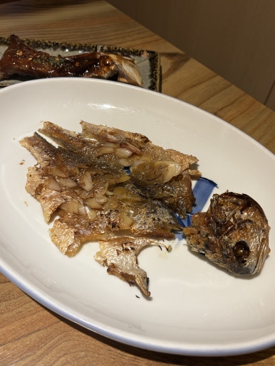 피지참치 이미지