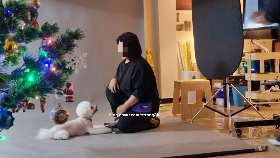 유어펫스토리 이미지
