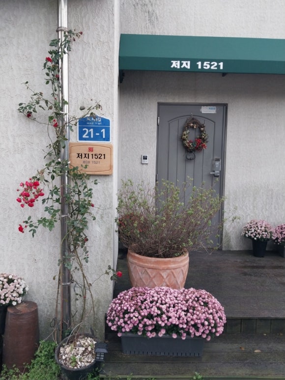 저지1521 이미지