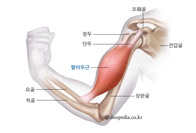 케이라운지 이미지