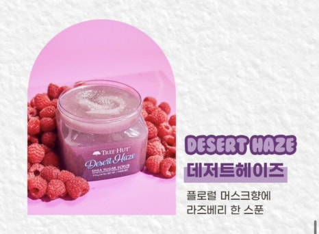 슈가트리 이미지