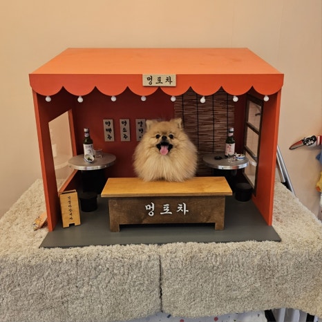 아따멍멍 이미지