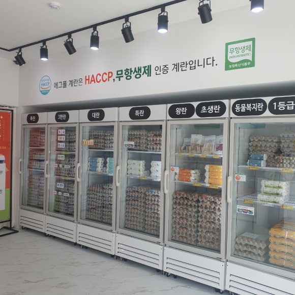 에그플청주 이미지