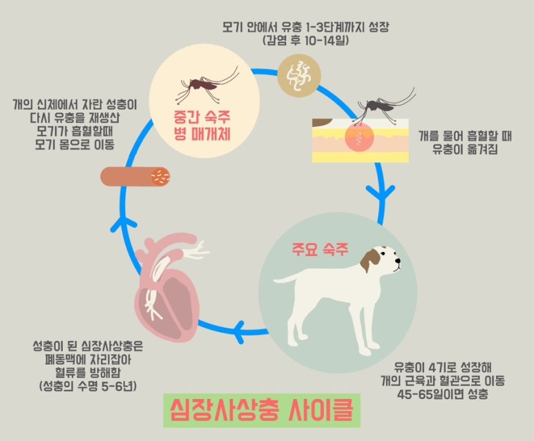 애드세이버 이미지