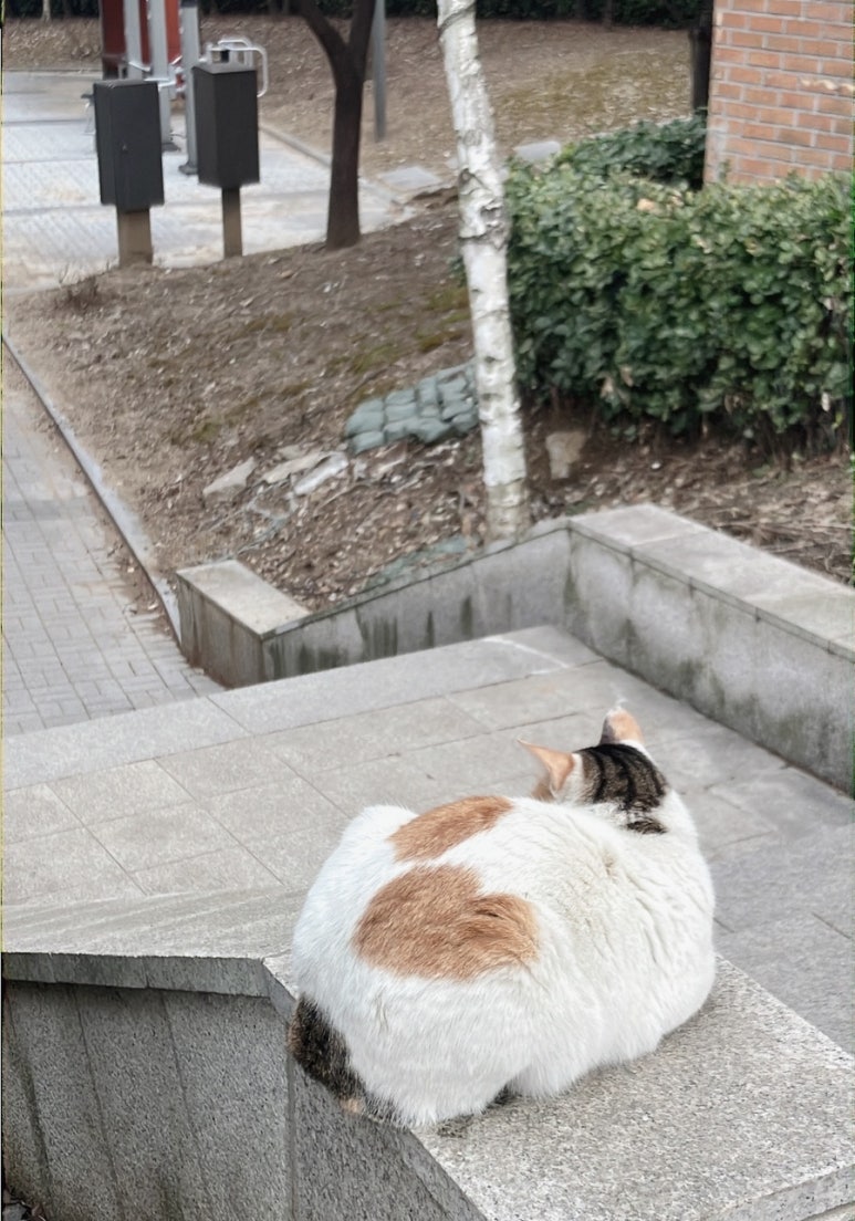 오씨오씨 이미지