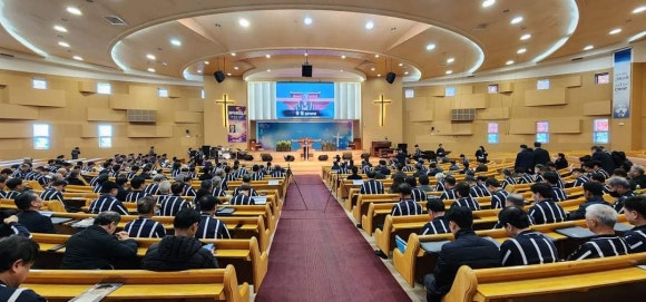딜라이트비전 이미지