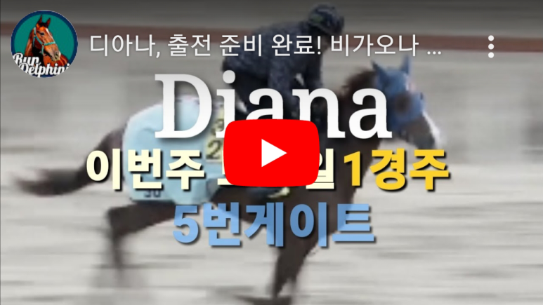 (주)디아나 이미지