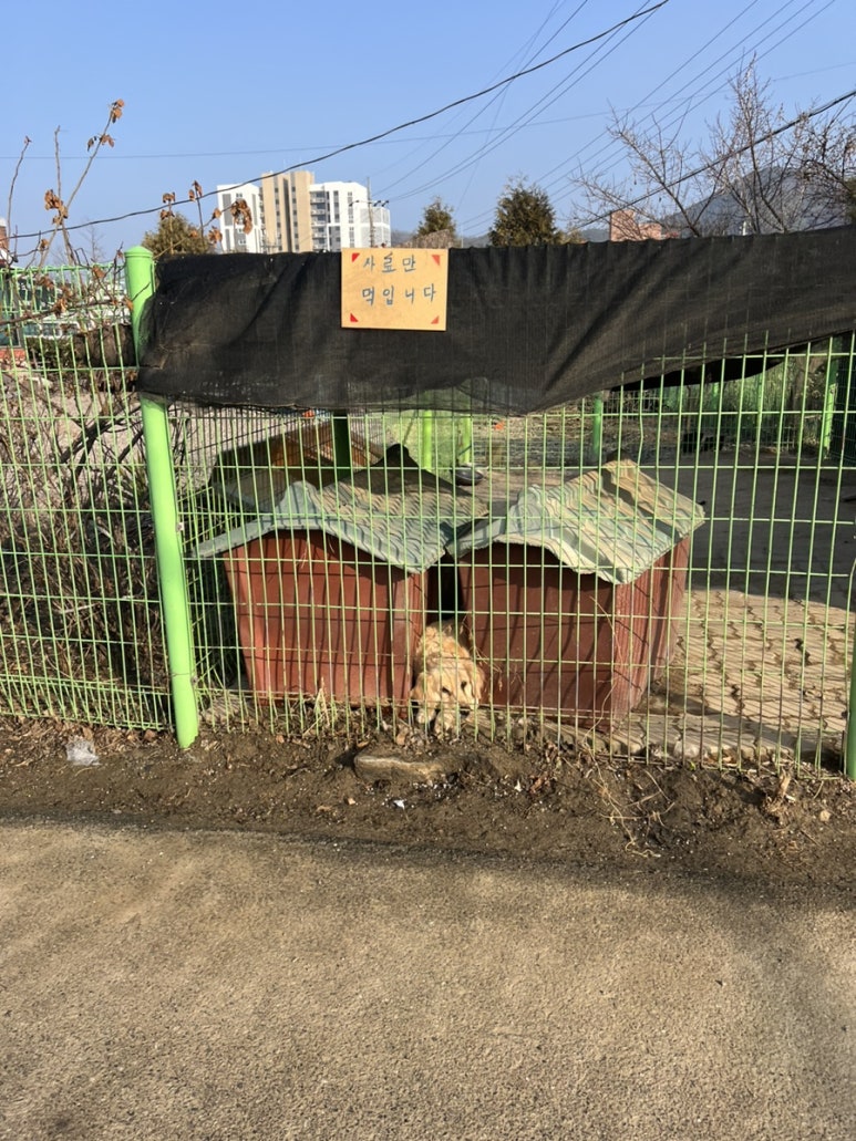 배스킨라빈스광주퇴촌점 이미지